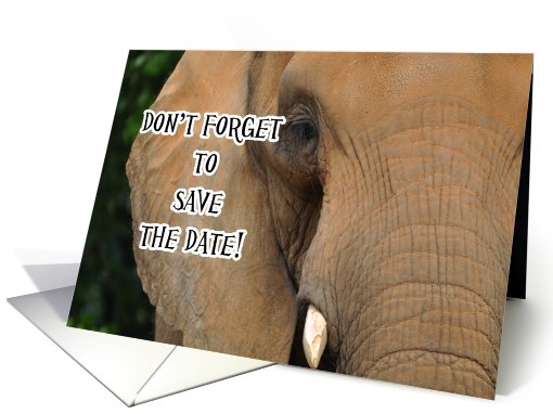 Elephant, Don't Forget to Save the Date Invitation card (731412)