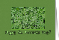 Happy St. Patrick’s Day with Four Leaf Clover Photograph card