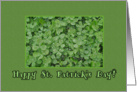 Happy St. Patrick’s Day with Four Leaf Clover Photograph card