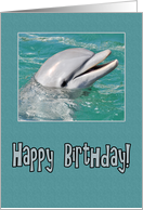 Dolphin Happy...