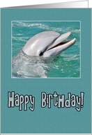 Dolphin Happy Birthday Swimming in Water card