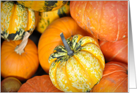 Happy Thanksgiving Orange Pumpkin Photograph card