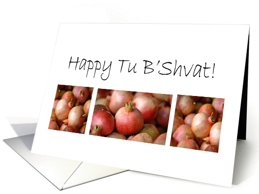 Tu B'Svhat Pomegranate Photograph card (822699)