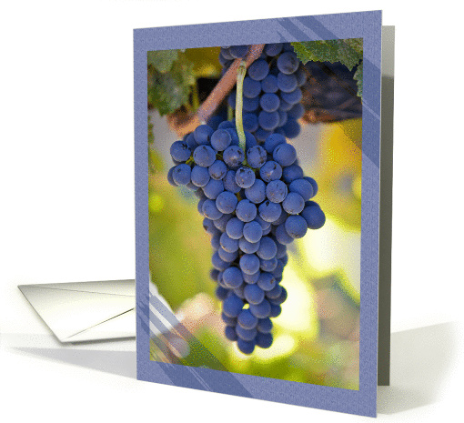 Thanks a Bunch Red Grapes on the Vine Photograph card (822714)