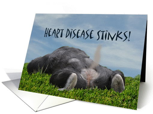 Heart Disease Stinks Get Well Soon Monkey Animal Humor card (837417)