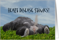 Heart Disease Stinks Get Well Soon Monkey Animal Humor Card