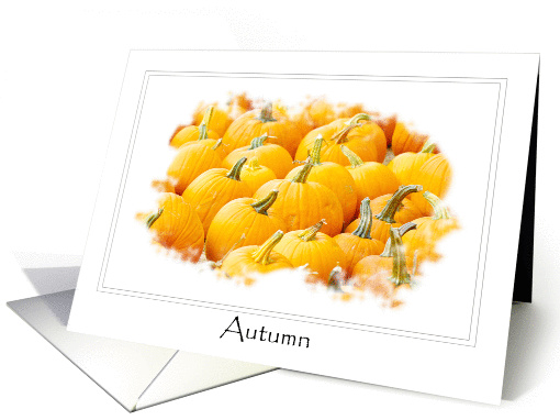Happy Holidays Festive Autumn Pumpkins card (852299)