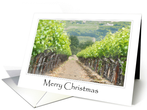 Merry Christmas Napa Valley card (884352)