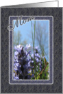 Mother’s Day Wishes Spring Flowers From All Of Us card