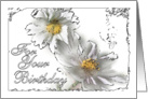 White And Yellow Flower Birthday Card