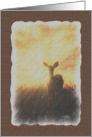 Deer Sunset Silhouette Happy Birthday To A Great Guy card