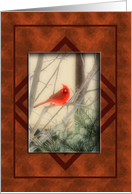 Happy Birthday Old Bird Wonderful Husband Red Bird On Tree Branch card
