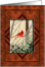 Happy Birthday Old Bird Wonderful Husband Red Bird On Tree Branch card