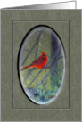 Just Wanted To Say Hello Red Bird On Tree Branch Digital Painting card