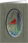 Blank Greeting Red Bird On Tree Branch Digital Painting card
