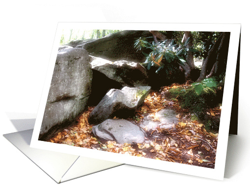 Forest Rocks And Mountain Laurel Blank Note card (744428)