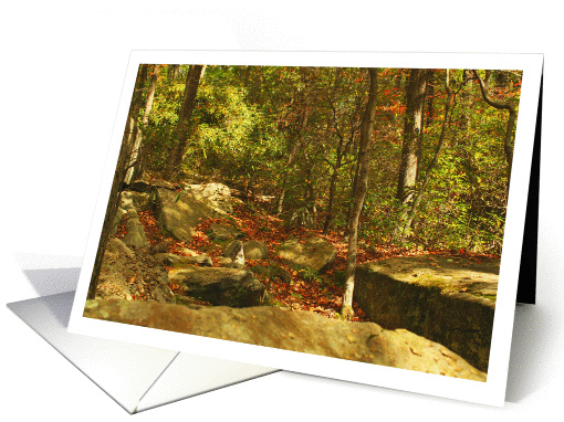 Forest Rocks, Mountain Laurel Early Fall Season Blank Note card
