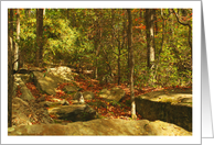 Forest Rocks, Mountain Laurel Early Fall Season Blank Note Card