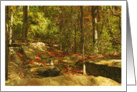 Forest Rocks, Mountain Laurel Early Fall Season Blank Note Card