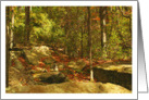 Thinking Of You Have A Nice Day Forest Rocks And Mountain Laurel Early Fall Season card