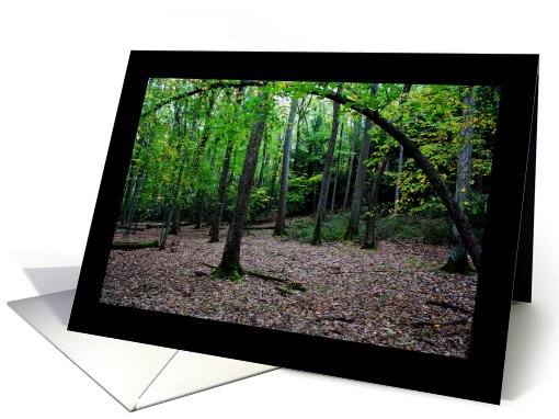 Blank Note Card Forest Arch Tree Early Fall card (744563)