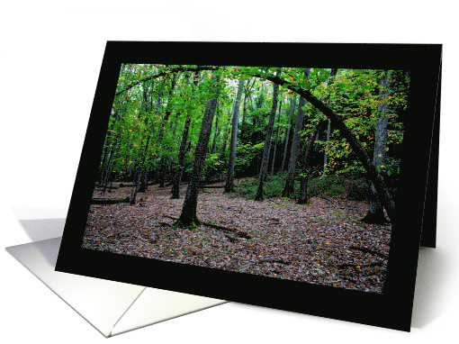 Happy Birthday Forest Arch Tree Early Fall card (744586)