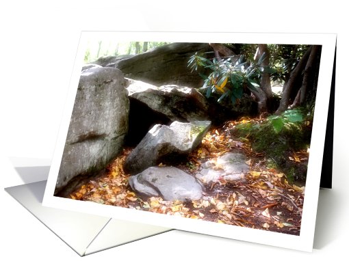 Happy Birthday Forest Mountain Laurel And Rocks Early Fall card