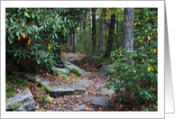 Happy Birthday Forest Mountain Laurel Path Early Fall Season Photograph card
