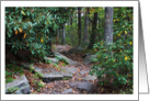 Happy Birthday Forest Mountain Laurel Path Early Fall Season Photograph card