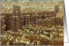 Moving Notice Card Featuring a Hoodoo Forest of Bryce card