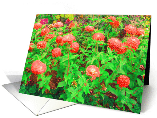 Flowers Bobbing Congratulations card (712676)