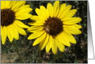 Happy Birthday Friend, Sunflowers card