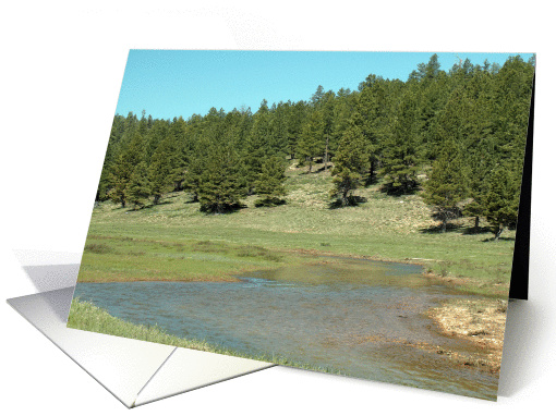 Happy Birthday Card Featuring a Cedar Breaks Area Forest card (831200)