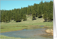 Happy Birthday Card Featuring a Cedar Breaks Area Forest card