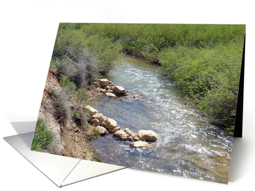 Happy Birthday Card Featuring a Cedar Breaks Area Creek card (831207)