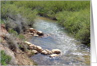 Happy Birthday Card Featuring a Cedar Breaks Area Creek card