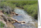 Happy Birthday Card Featuring a Cedar Breaks Area Creek card