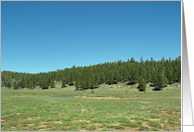 Happy Birthday Card Featuring a Cedar Breaks Area Landscape card