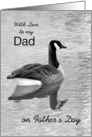 Dad on Father’s Day with love BW Duck in water card