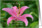 Daughter-in-law Birthday, Pink Tiger Lily card