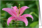 Mother Birthday, Pink Tiger Lily card