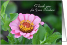 Thank you, Pink Zinnia card