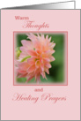 Warm Thoughts and Healing Prayers, Mastectomy Surgery card