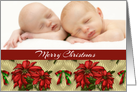 Merry Christmas Poinsettia, Photo Card