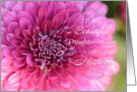 Beautiful Daughter-in-law on Mother’s Day, Dahlia card