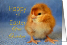 Happy 1st Easter Great Grandson, baby chick card