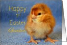 Happy 1st Easter Grandson, baby chick card