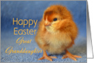 Great Granddaughter Happy Easter Baby Chick card