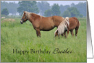 Brother Birthday, two horses card