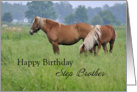 Step Brother Birthday, Two Horses card